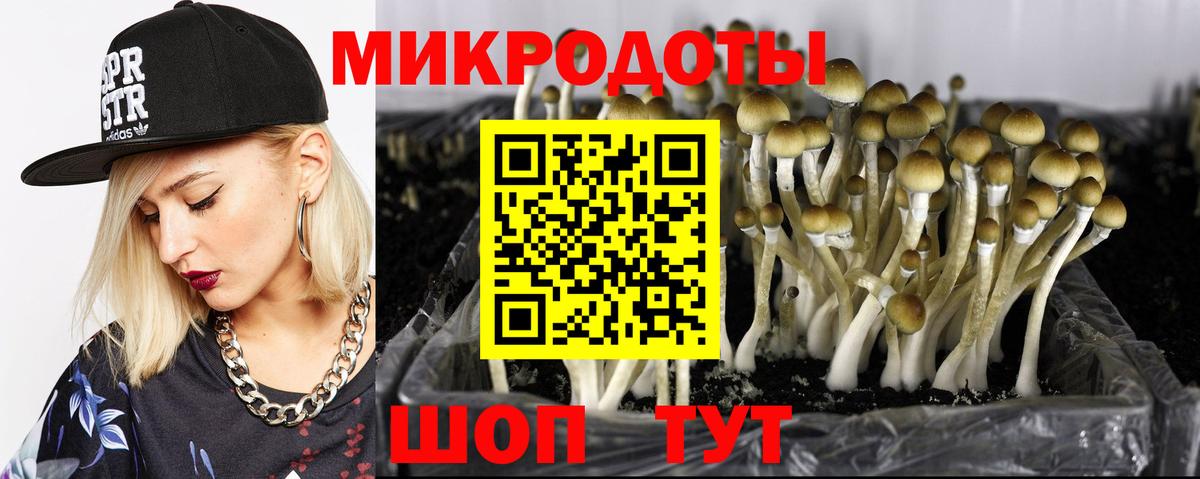 Галлюциногенные грибы прущие грибы Самара